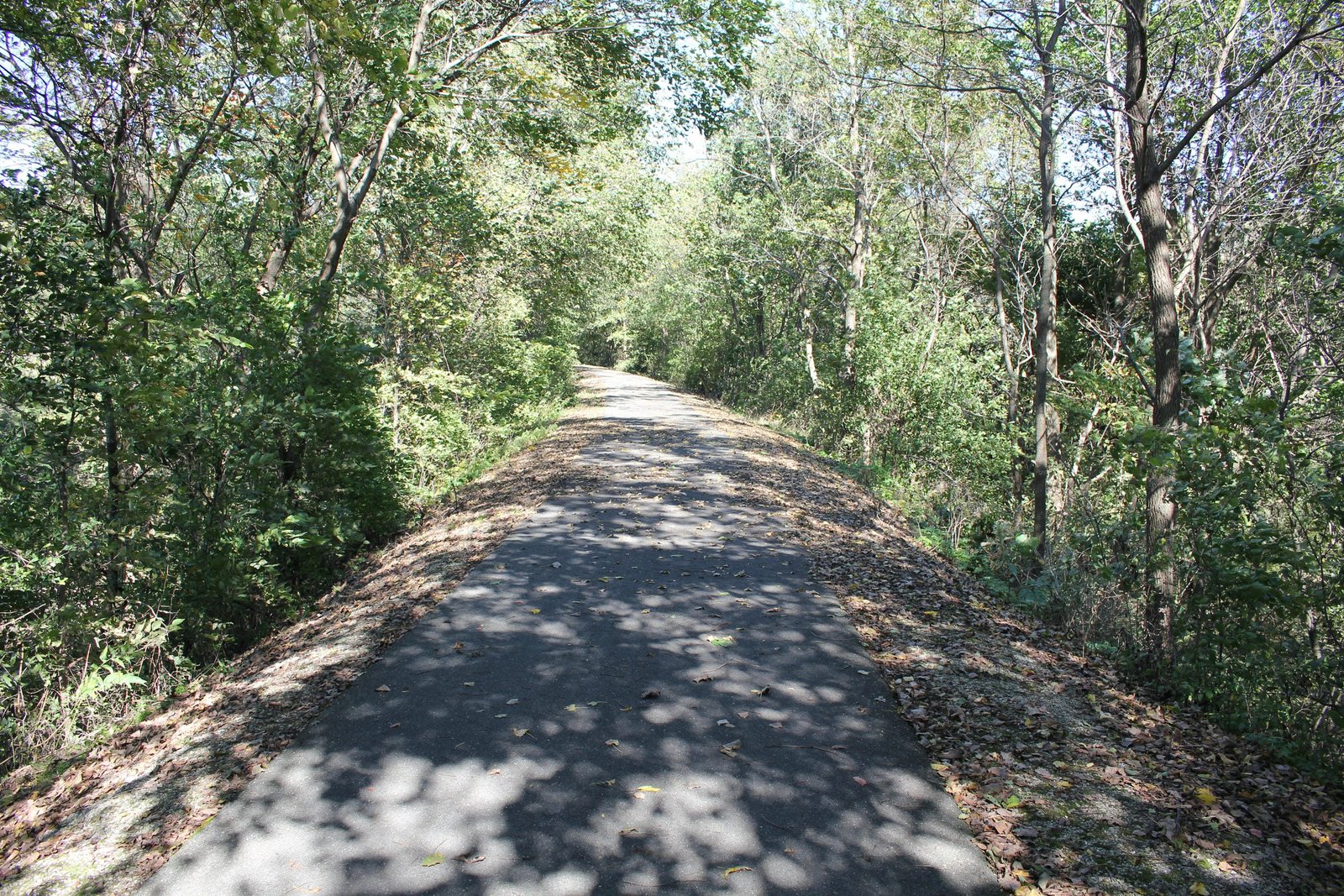 Looking north